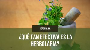 Lee más sobre el artículo ¿Qué tan efectiva es la herbolaria?