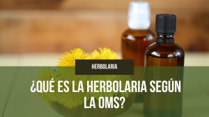 Lee más sobre el artículo ¿Qué es la herbolaria según la OMS?