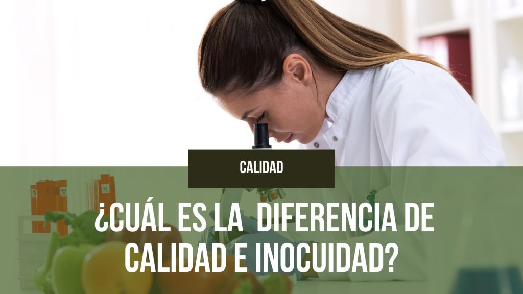 ¿Cuál es la diferencia de calidad e inocuidad?