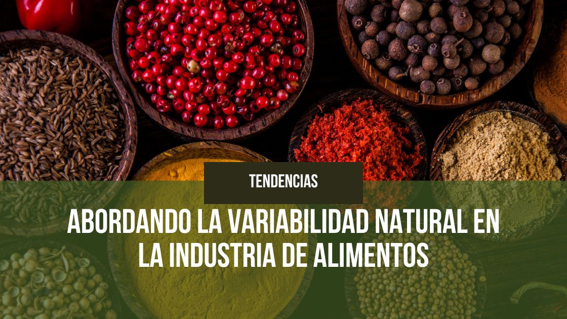 Lee más sobre el artículo Abordando la Variabilidad Natural en la Industria de Alimentos