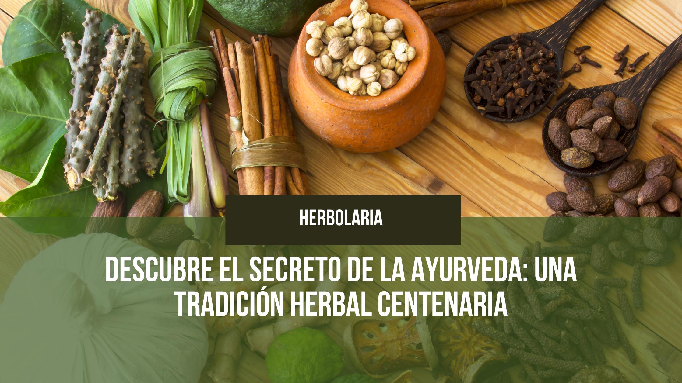 En este momento estás viendo Descubre el Secreto de la Ayurveda: Una Tradición Herbal Centenaria