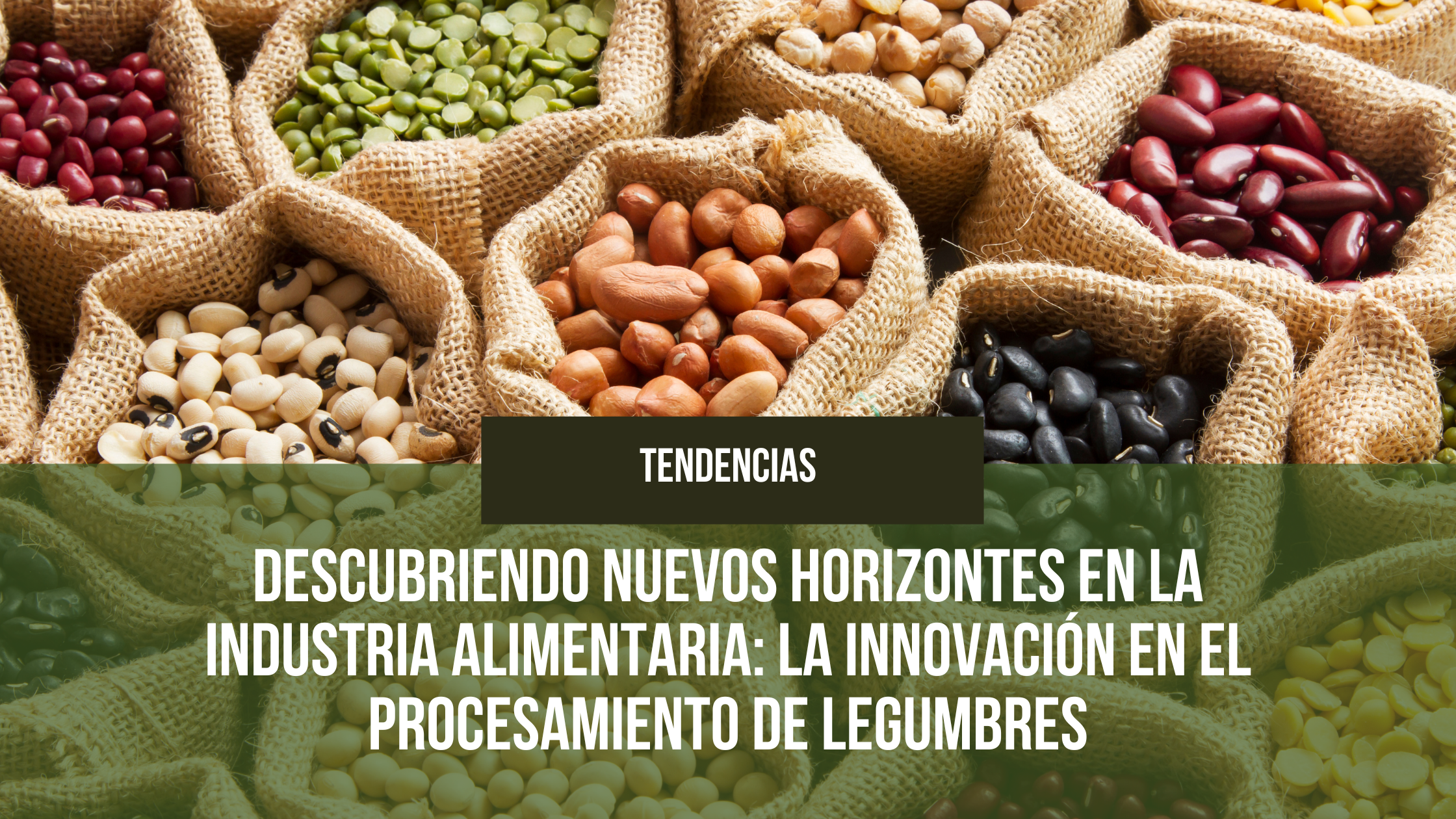 En este momento estás viendo Descubriendo Nuevos Horizontes en la Industria Alimentaria: La Innovación en el Procesamiento de Legumbres