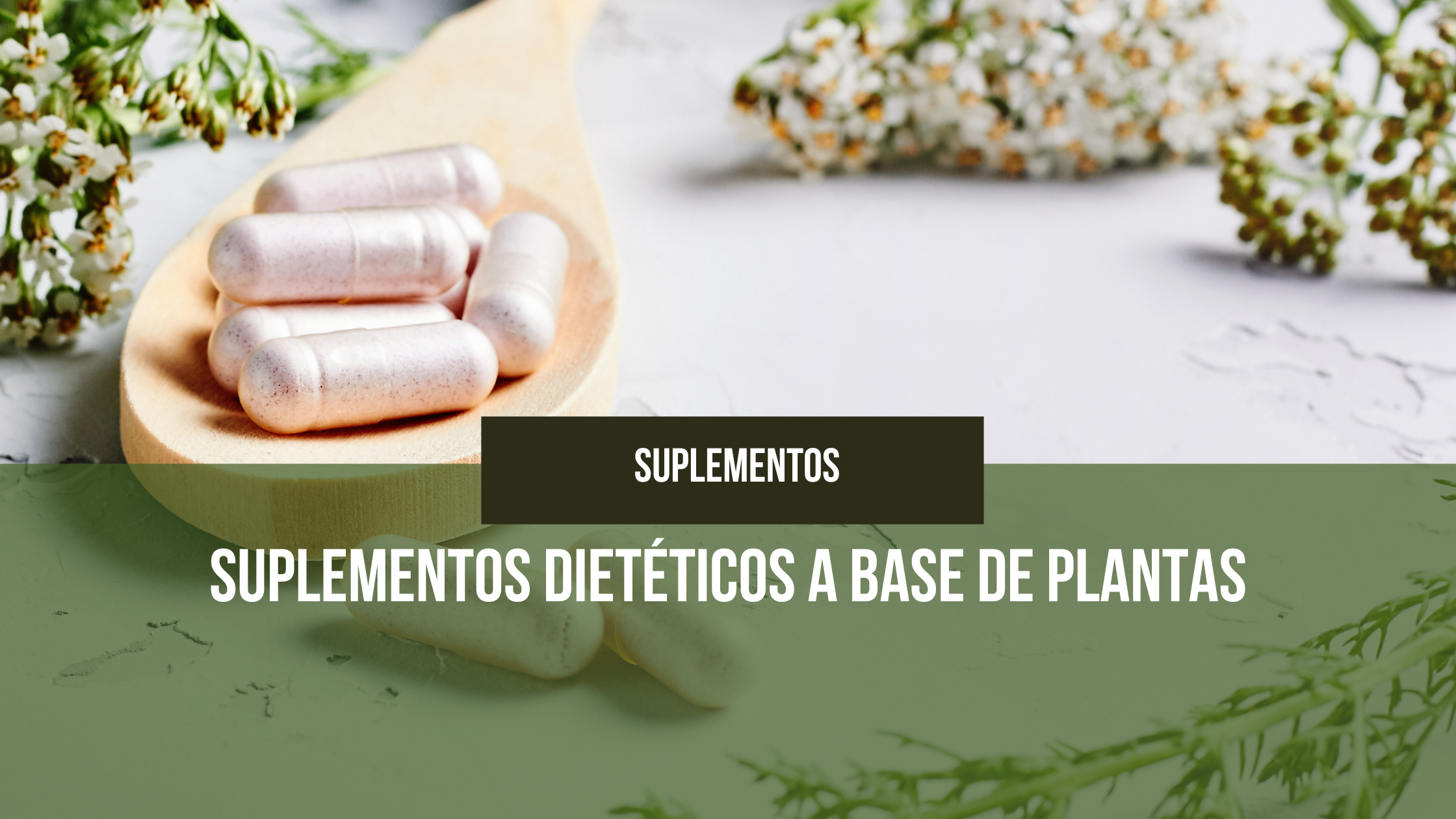 Lee más sobre el artículo Suplementos dietéticos a base de plantas