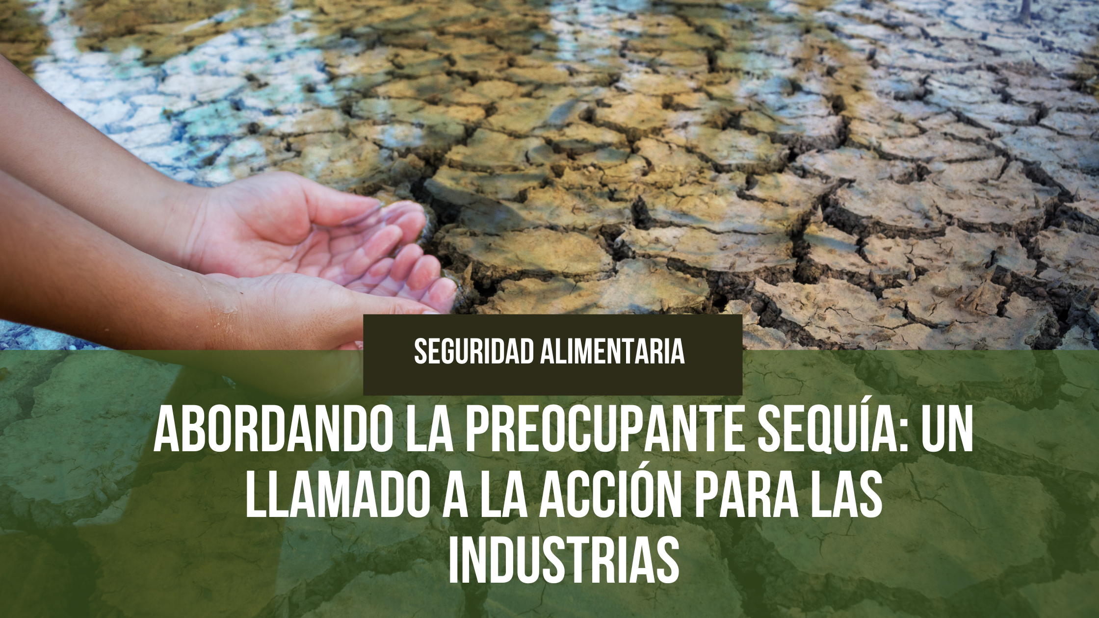 Lee más sobre el artículo Abordando la Preocupante Sequía: Un Llamado a la Acción para las Industrias