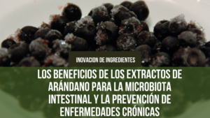 Lee más sobre el artículo Los Beneficios de los Extractos de Arándano para la Microbiota Intestinal y la Prevención de Enfermedades Crónicas