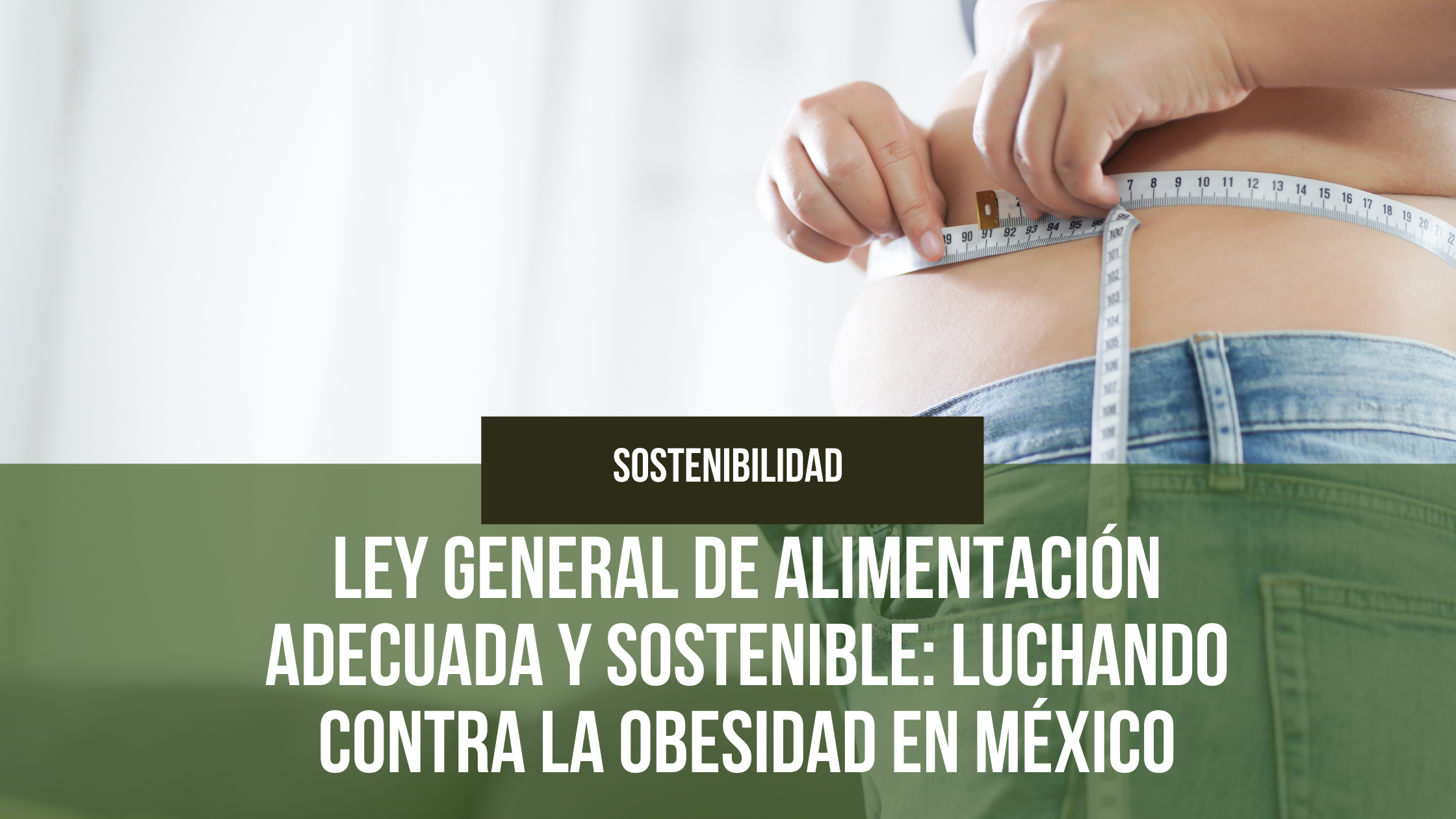 En este momento estás viendo Ley General de Alimentación Adecuada y Sostenible: Luchando contra la Obesidad en México