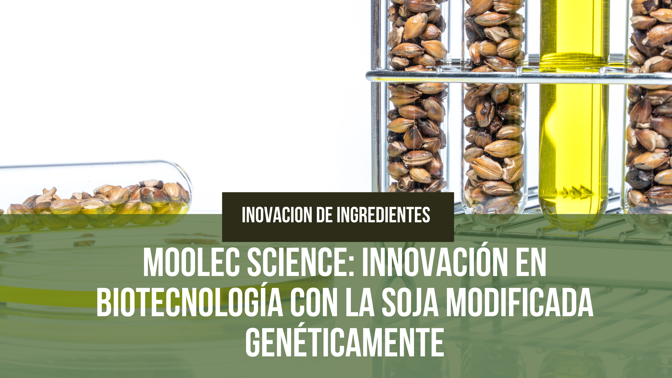 En este momento estás viendo Moolec Science innovación en Biotecnología con la Soja Modificada Genéticamente